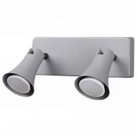 Спот Odeon Light Reanna 3825/2W