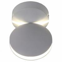 Светильник на штанге Favourite Collare 2000-1W фото Светильник на штанге Favourite Collare 2000-1W