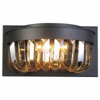 Накладной светильник Favourite Amber 1657-2W фото Накладной светильник Favourite Amber 1657-2W