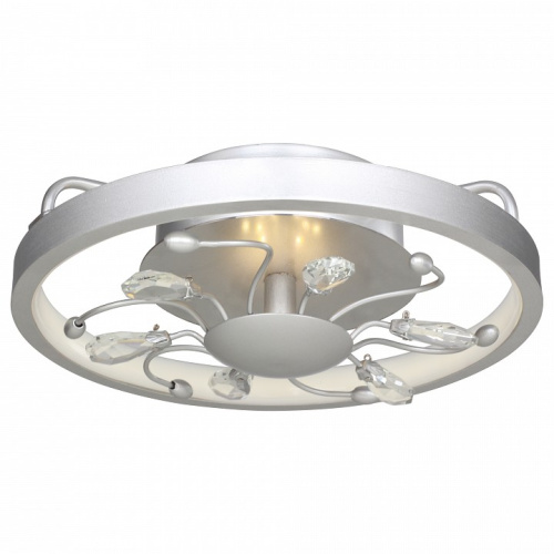 Накладной светильник Favourite Waltz 2523-2C. Фото №1