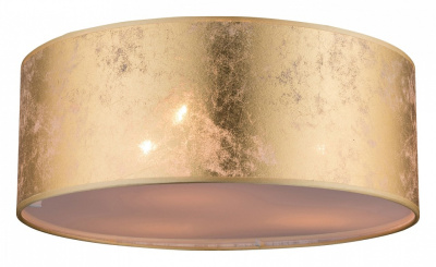 Накладной светильник Globo Amy 15187D. Фото