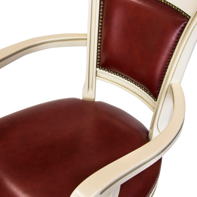 Кресло на колесика х  Сюзи-3. Фото