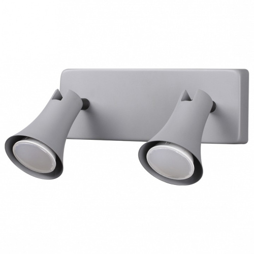 Спот Odeon Light Reanna 3825/2W. Фото №1