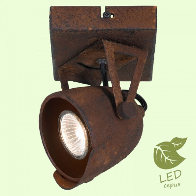 Спот Lussole Montgomery GRLSP-9506. Фото