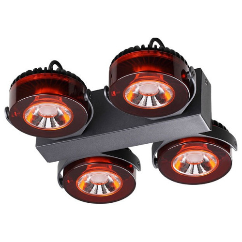 Спот Odeon Light Vivace 3818/40CL. Фото №1